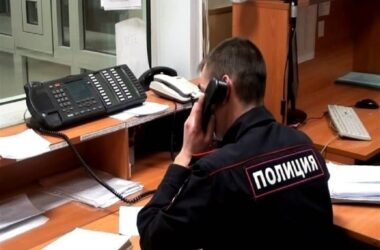 В Мытищах расследуют падение собаки с 15-го этажа В Мытищах расследуют падение собаки с 15-го этажа