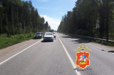 В Раменском районе автомобиль сбил лося В Раменском районе автомобиль сбил лося