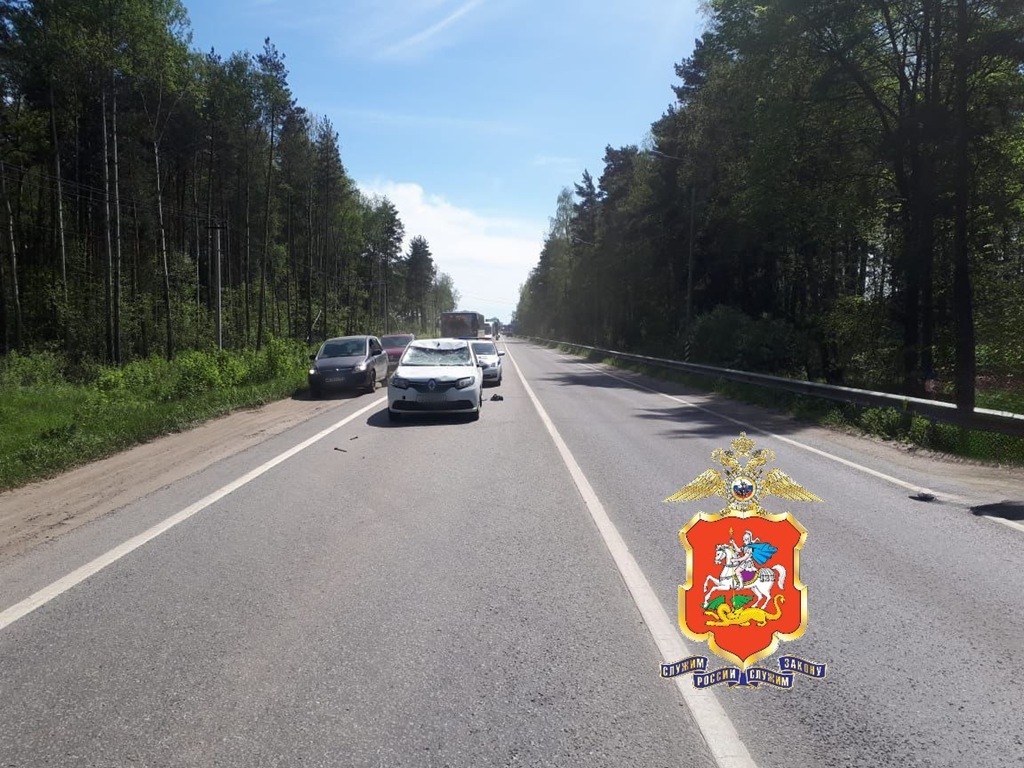 В Раменском районе автомобиль сбил лося