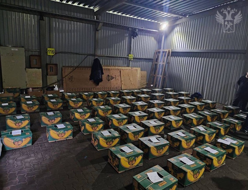 «Банановый рейс» с кокаином: в Петербурге задержана рекордная партия наркотиков